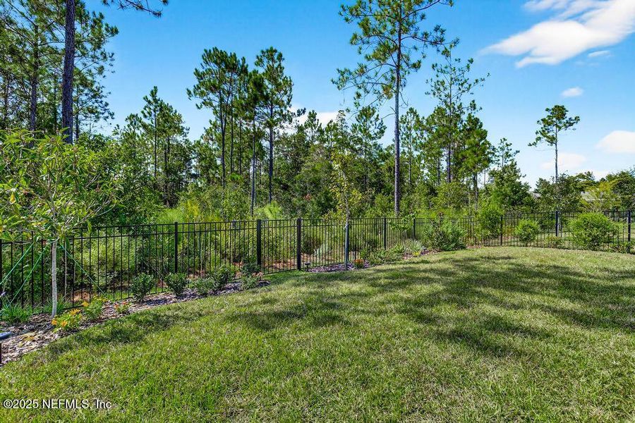 Natural landscape and outdoor views near  in Yulee (Image 29).