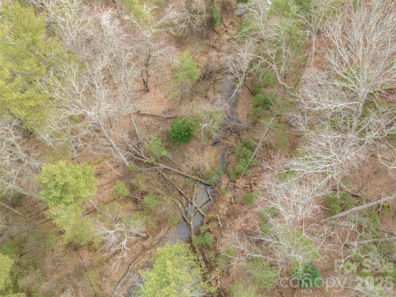 Natural landscape and outdoor views near  in Asheville (Image 28).
