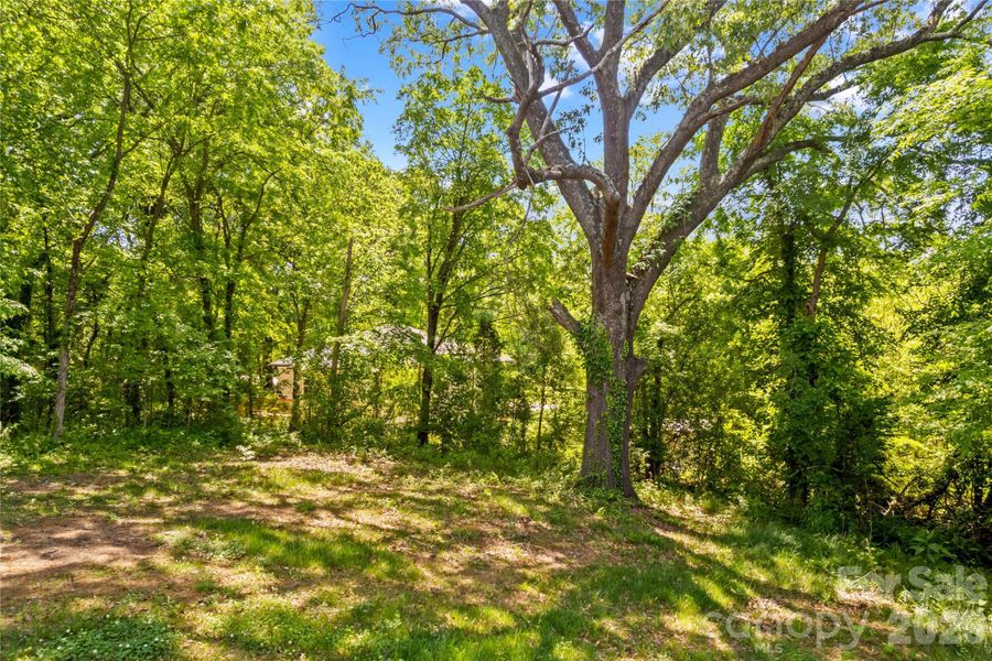 Natural landscape and outdoor views near  in Salisbury (Image 23).