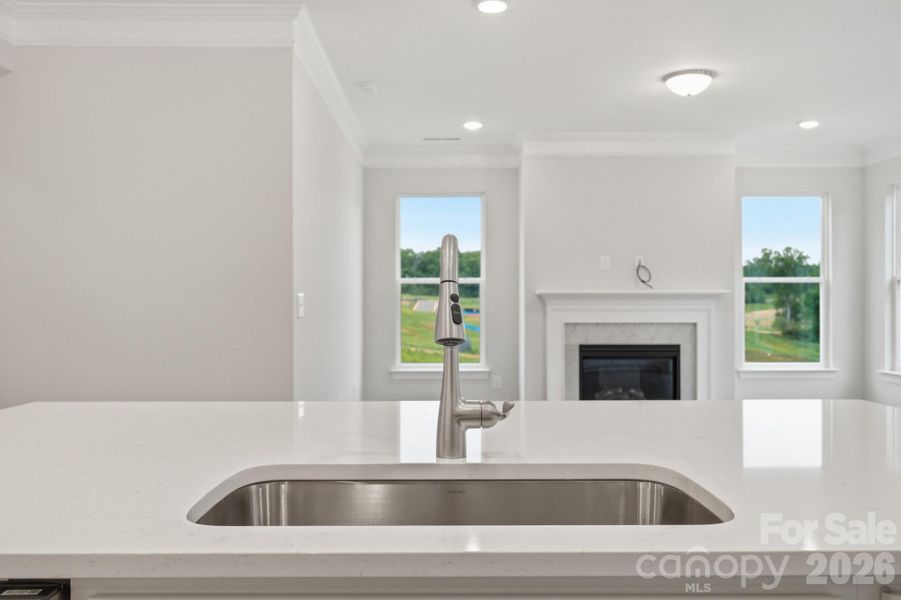 Kitchen Sink