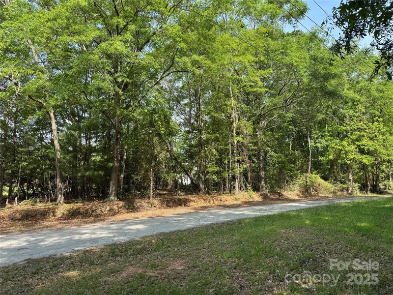 Natural landscape and outdoor views near  in Forest City (Image 10).