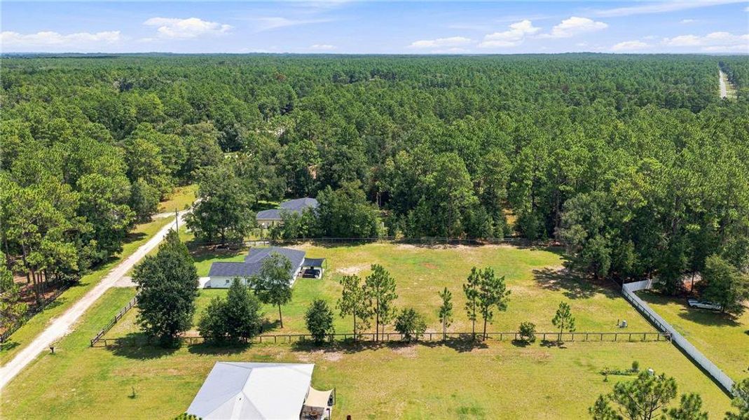 Natural landscape and outdoor views near in Ocala (Image 31). Natural landscape and outdoor views near in Ocala (Image 31).