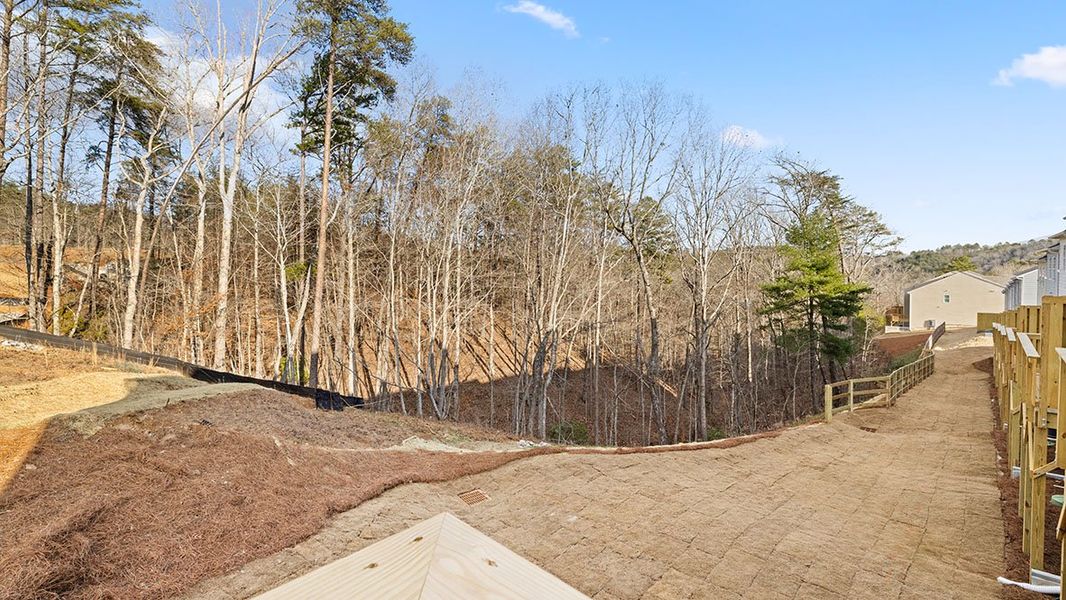 Image 46 of a home in Greyton Springs Place.