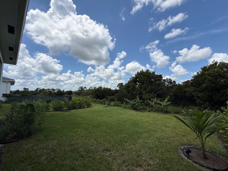Backyard 6