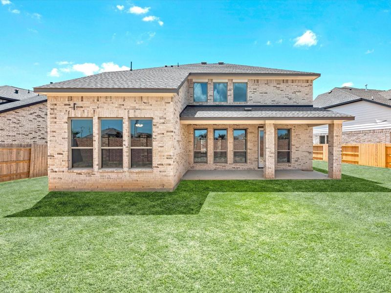 Green grass added to enhance photo. Green grass added to enhance photo.