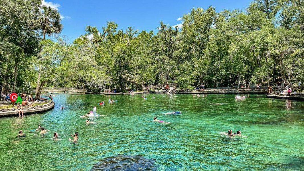Natural landscape and outdoor views near Eden Crest in Apopka (Image 19).
