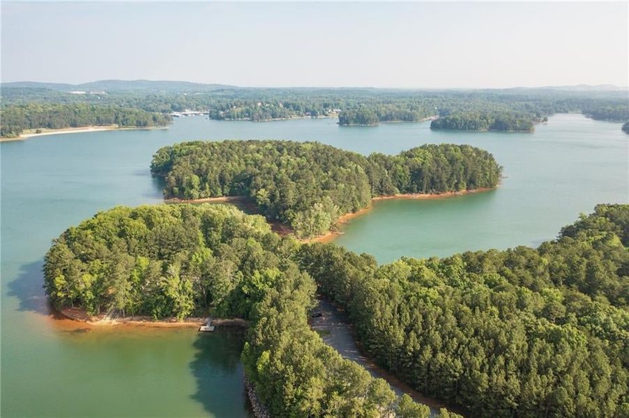 Lake Lanier minutes from your door - Boat Rentals, Margaritaville or Hiking Trails