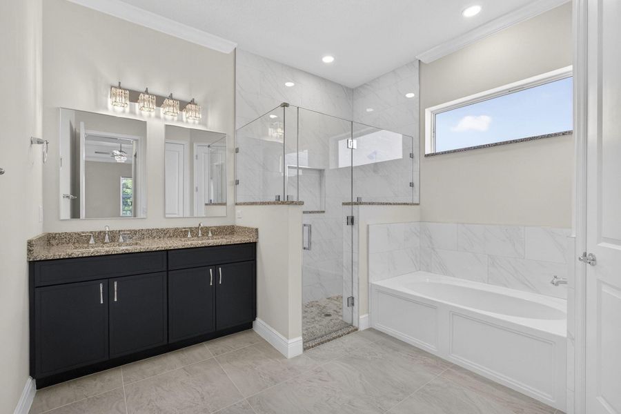 Primary Spa Bathroom