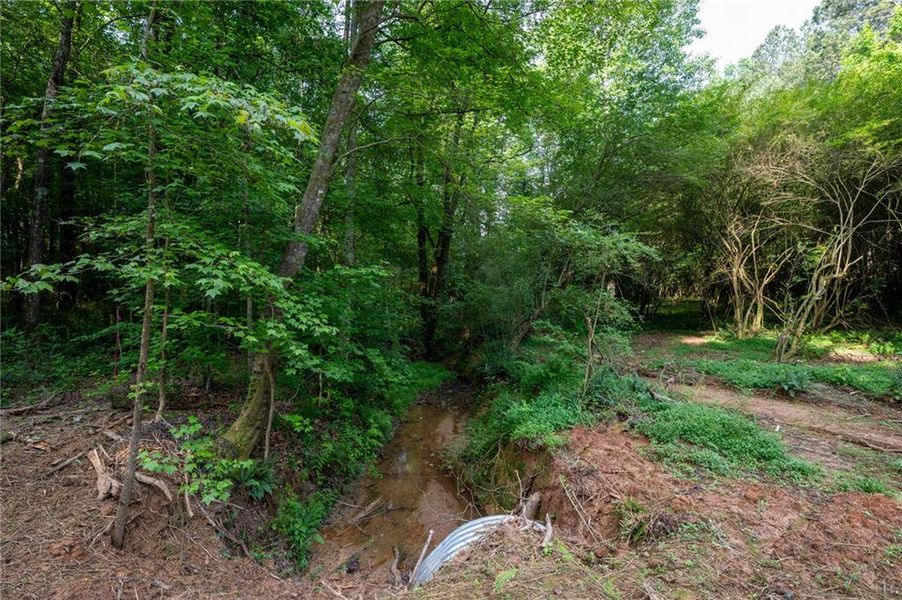 Natural landscape and outdoor views near  in Talking Rock (Image 7).