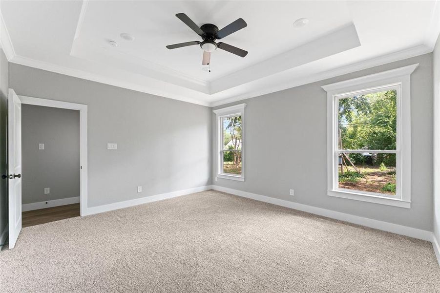 Spare room featuring a raised ceiling, light colored carpet, ornamental molding, and a ceiling fan