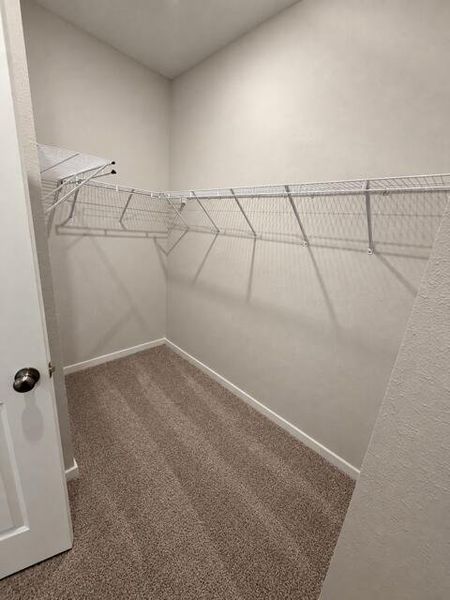 Walk In Closet Primary