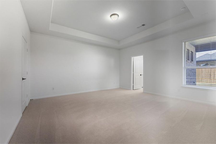 Spacious, unfurnished interior of a new home in La Terra, Celina (Image 21).