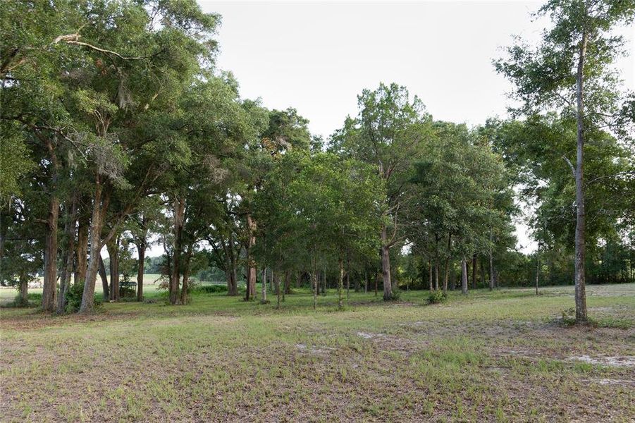 Natural landscape and outdoor views near in Bell (Image 52). Natural landscape and outdoor views near in Bell (Image 52).