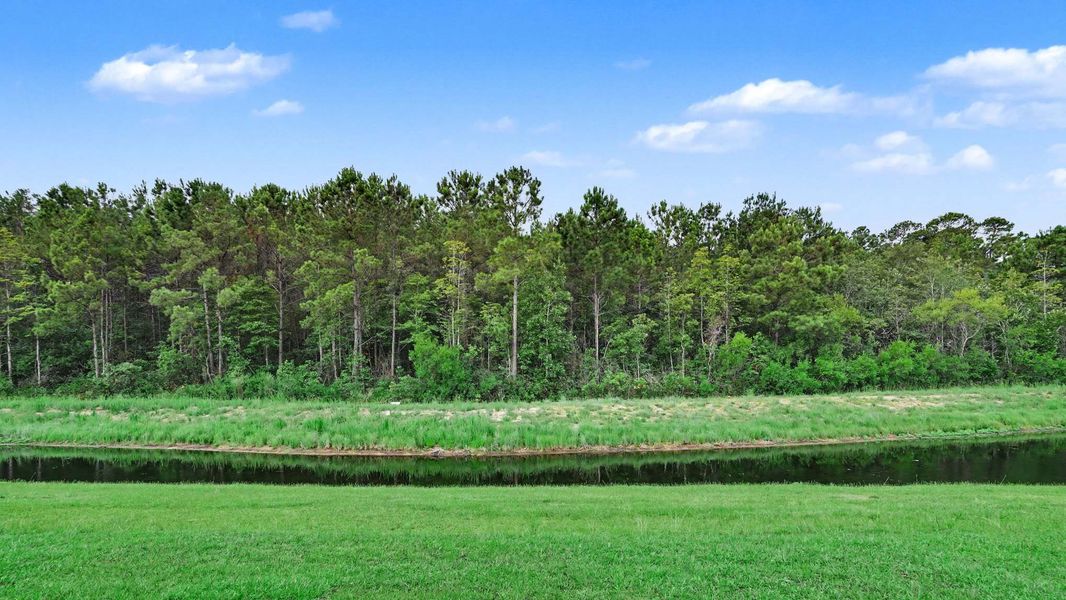 Natural landscape and outdoor views near Sandridge Park in Little River (Image 15).