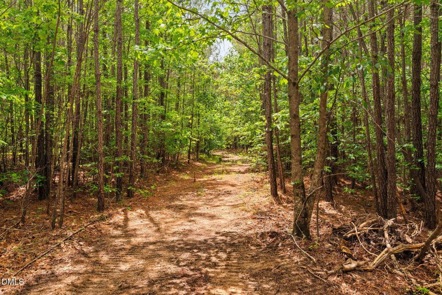 31-web-or-mls-s-plank-rd 31-web-or-mls-s-plank-rd