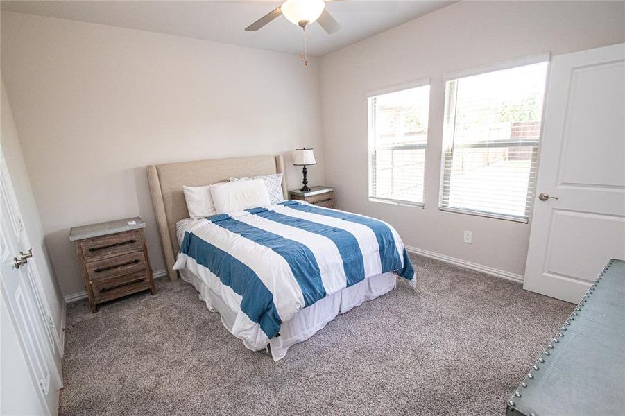 Carpeted bedroom with a ceiling fan and baseboards Carpeted bedroom with a ceiling fan and baseboards