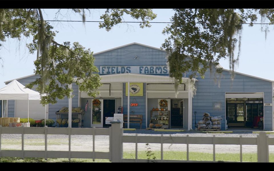 Front exterior of a new home in Indigo Grove Single Family Homes, Johns Island, SC, highlighting curb appeal (Image 31).