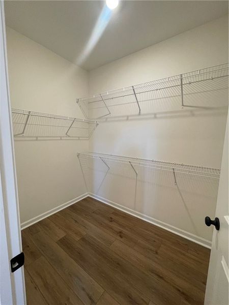 Spacious, unfurnished interior of a new home in Springwood Grove, Central (Image 25).