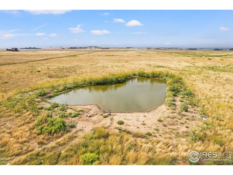 Functional drainage pond