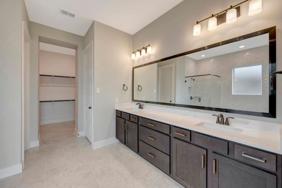 Owner's Bath