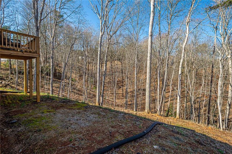 Natural landscape and outdoor views near  in Dahlonega (Image 47).