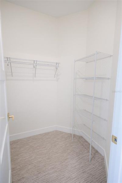 Spacious, unfurnished interior of a new home in , Ocala (Image 22).