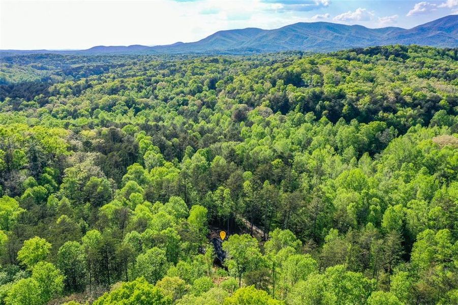 Natural landscape and outdoor views near  in Ellijay (Image 45).