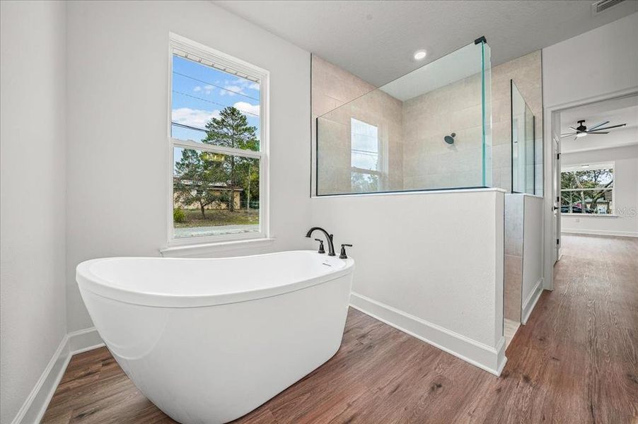 Furnished interior view inside a new home in , Spring Hill (Image 14). Furnished interior view inside a new home in , Spring Hill (Image 14).