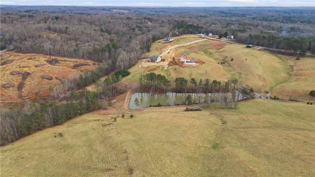 Natural landscape and outdoor views near  in Gainesville (Image 76).