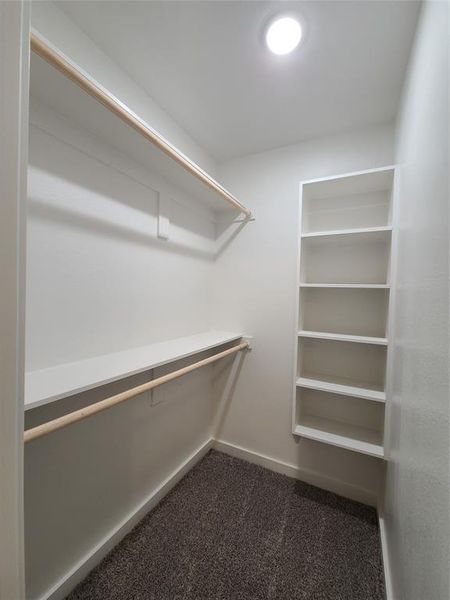 Spacious closet featuring carpet