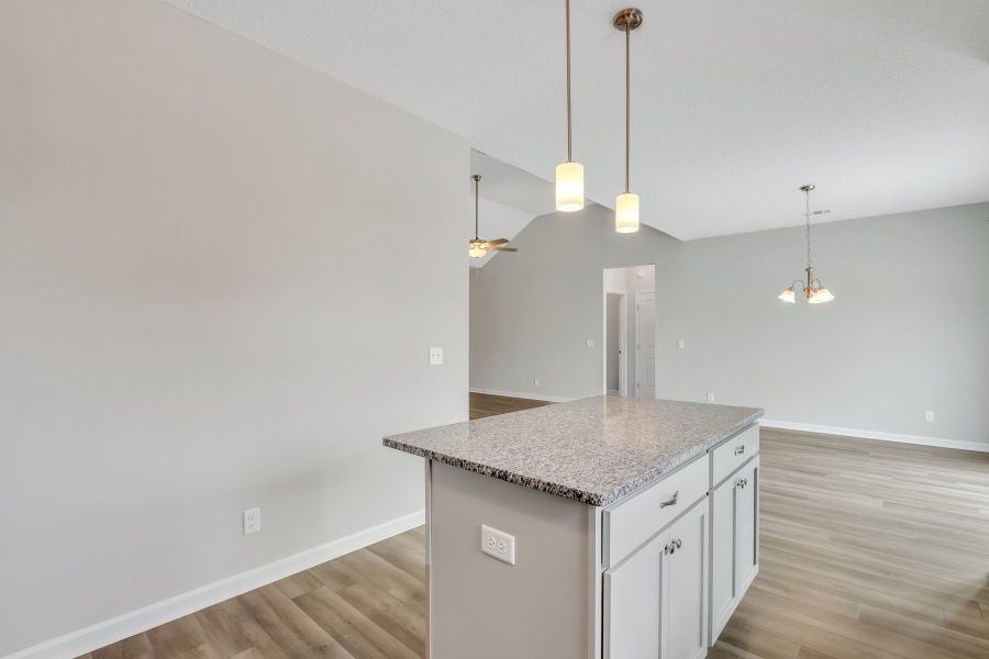 Representative furnished interior of a home built from the The Brunsen by RTS Homes in Doctor's Creek, Ludowici (Image 7).