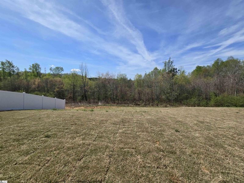 Natural landscape and outdoor views near Shiloh Trail in Wellford (Image 36).