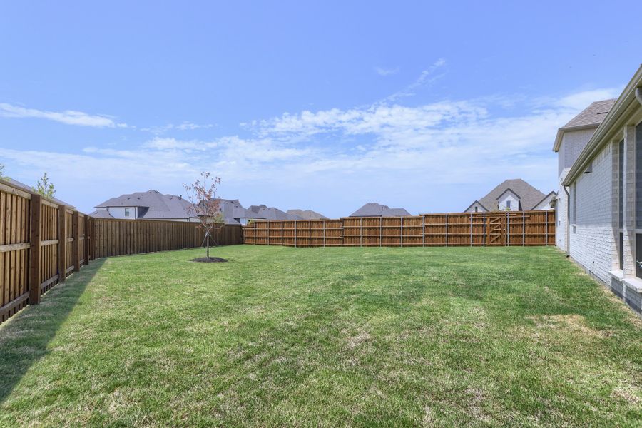 4124 Trellis - Backyard 4124 Trellis - Backyard