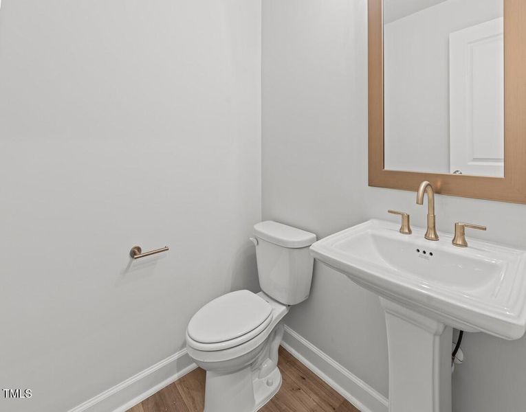 representative photo