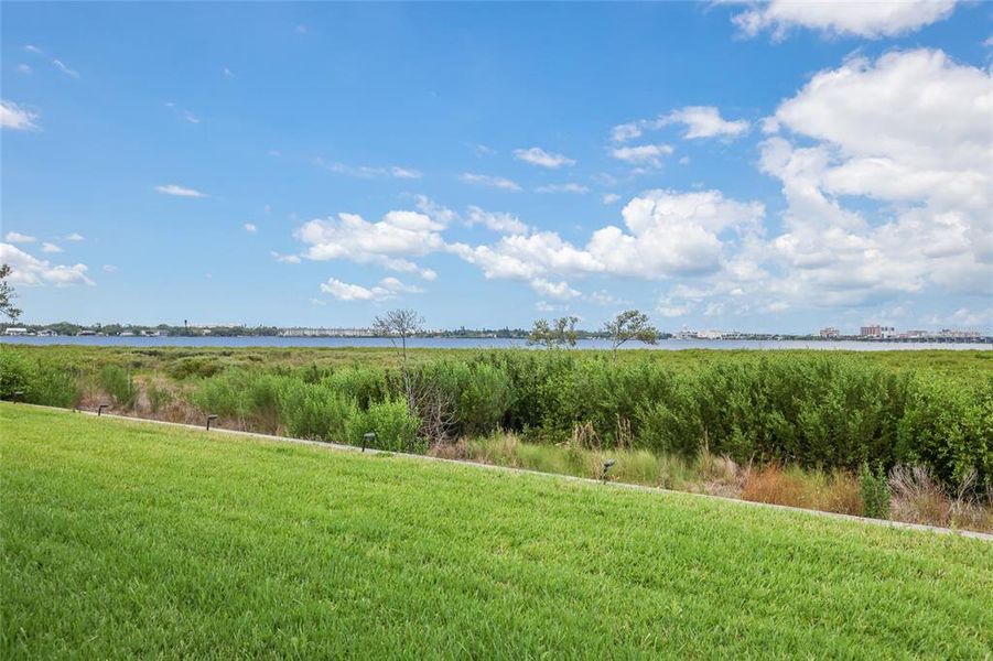 Natural landscape and outdoor views near  in Palmetto (Image 49).