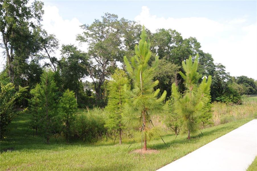 Natural landscape and outdoor views near in Tampa (Image 32). Natural landscape and outdoor views near in Tampa (Image 32).