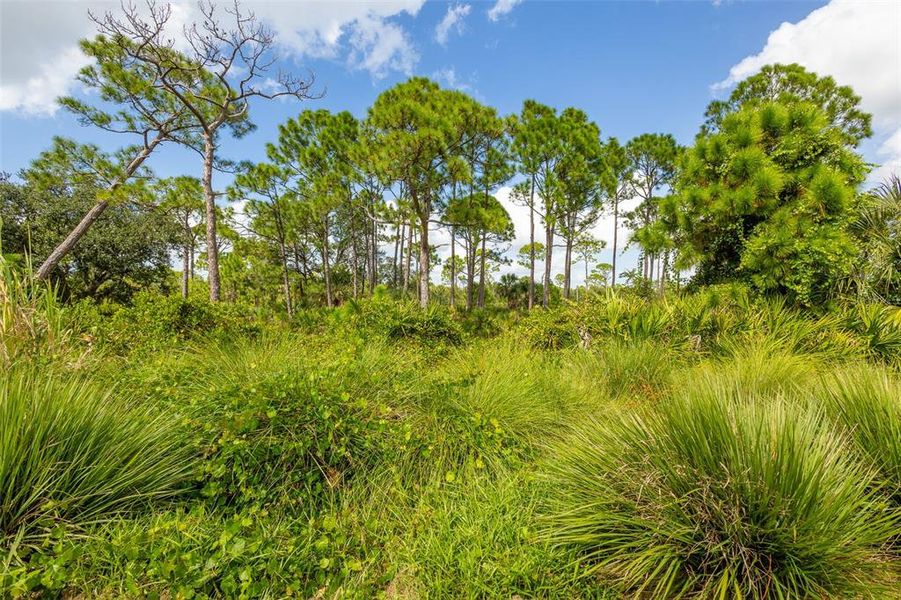 Natural landscape and outdoor views near  in Nokomis (Image 32).