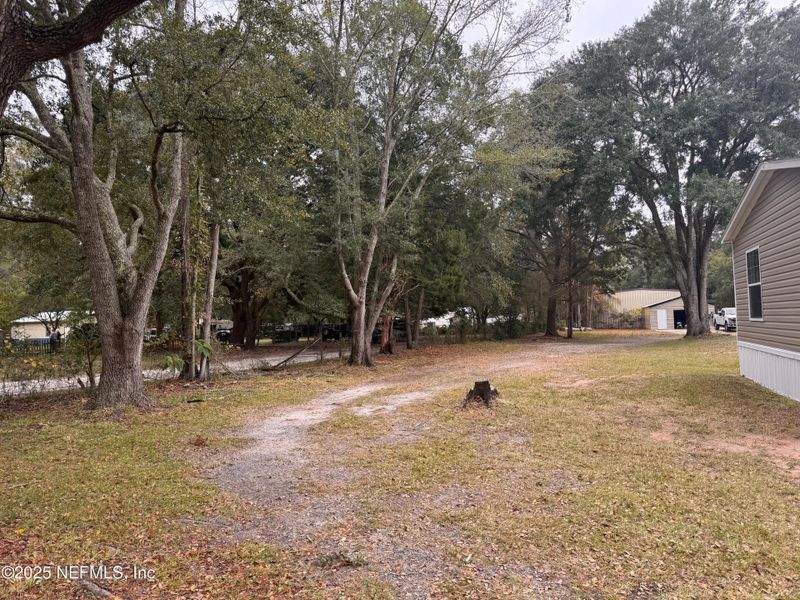Natural landscape and outdoor views near  in Fernandina Beach (Image 25).