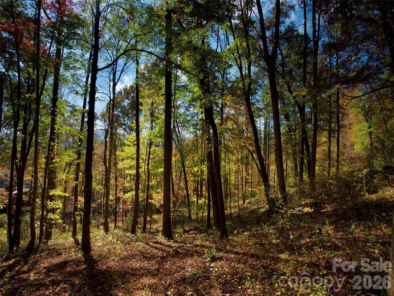 Natural landscape and outdoor views near in Arden (Image 7). Natural landscape and outdoor views near in Arden (Image 7).