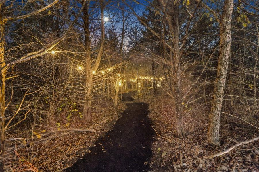 Natural landscape and outdoor views near  in McKinney (Image 36).