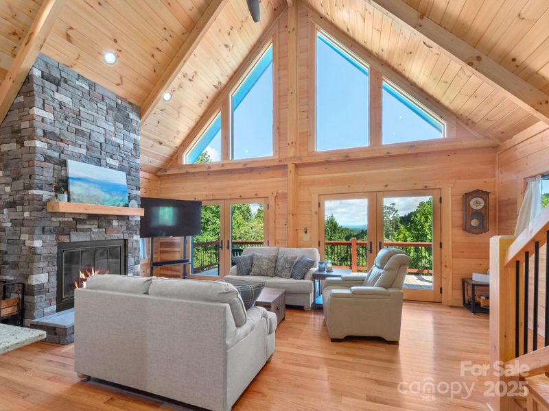 Sun Filled Living Room