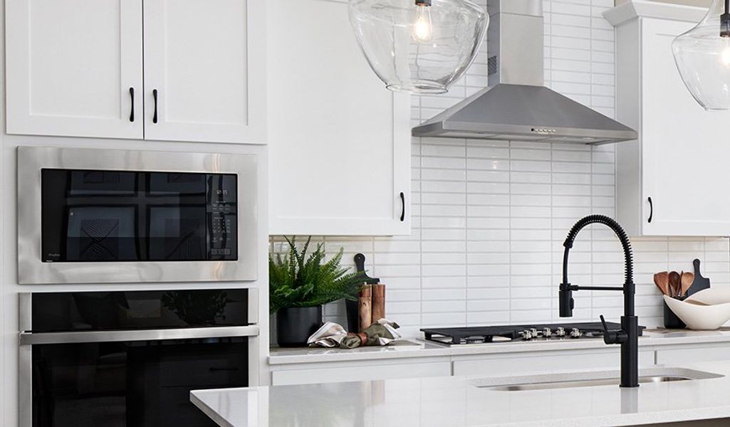 Darius-P786-EstatesatLaveenVistas Kitchen