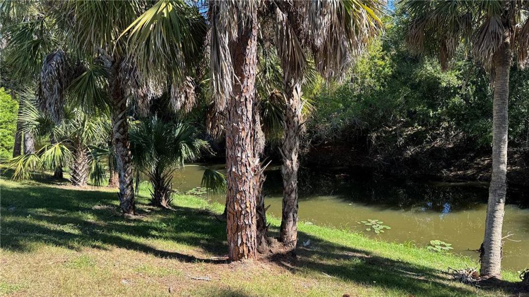 Natural landscape and outdoor views near in North Port (Image 30). Natural landscape and outdoor views near in North Port (Image 30).