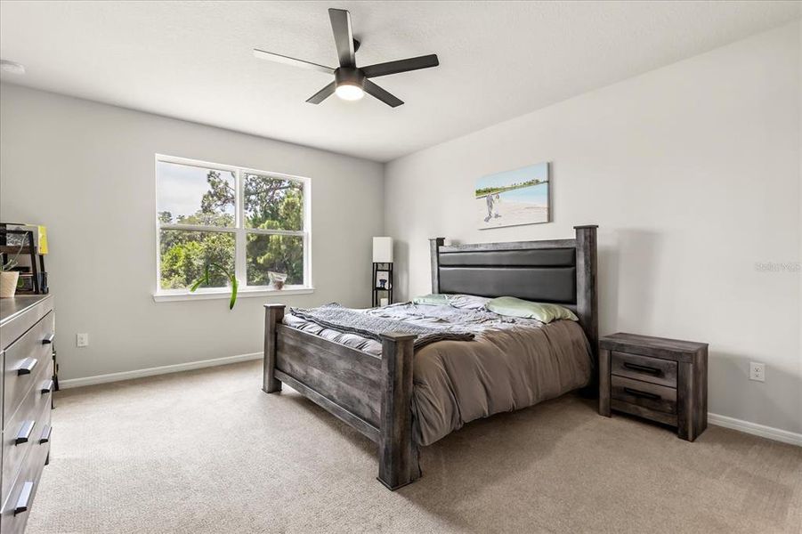 Furnished interior view inside a new home in , Clermont (Image 33). Furnished interior view inside a new home in , Clermont (Image 33).