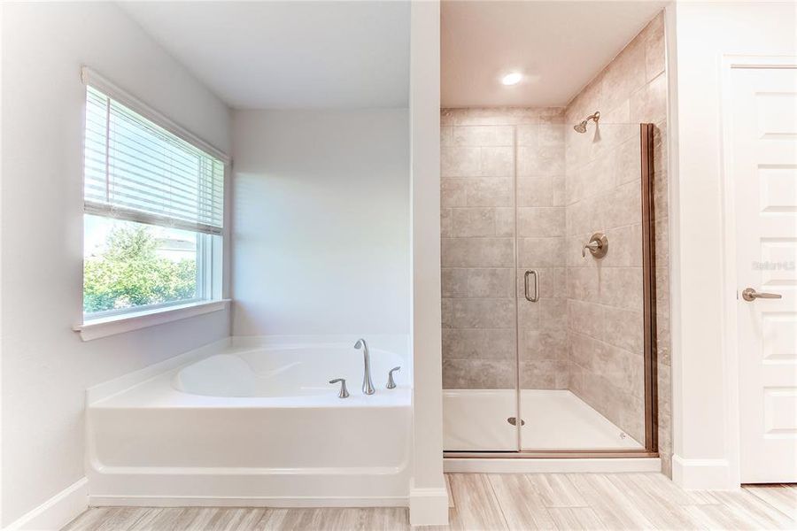 Furnished interior view inside a new home in Aviary at Rutland Ranch, Parrish (Image 15).