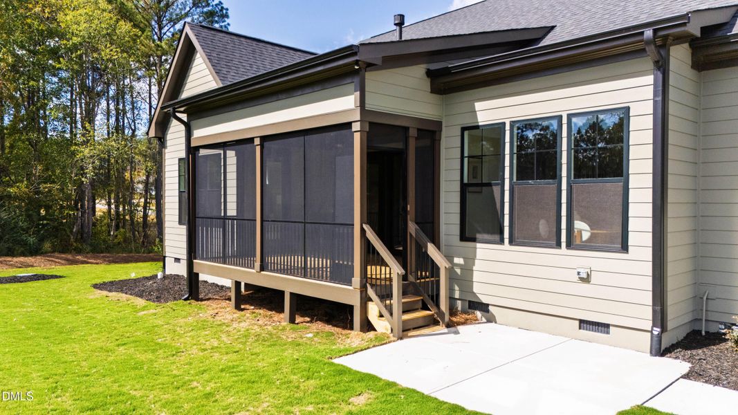 Braod leaf Ext (8) Braod leaf Ext (8)