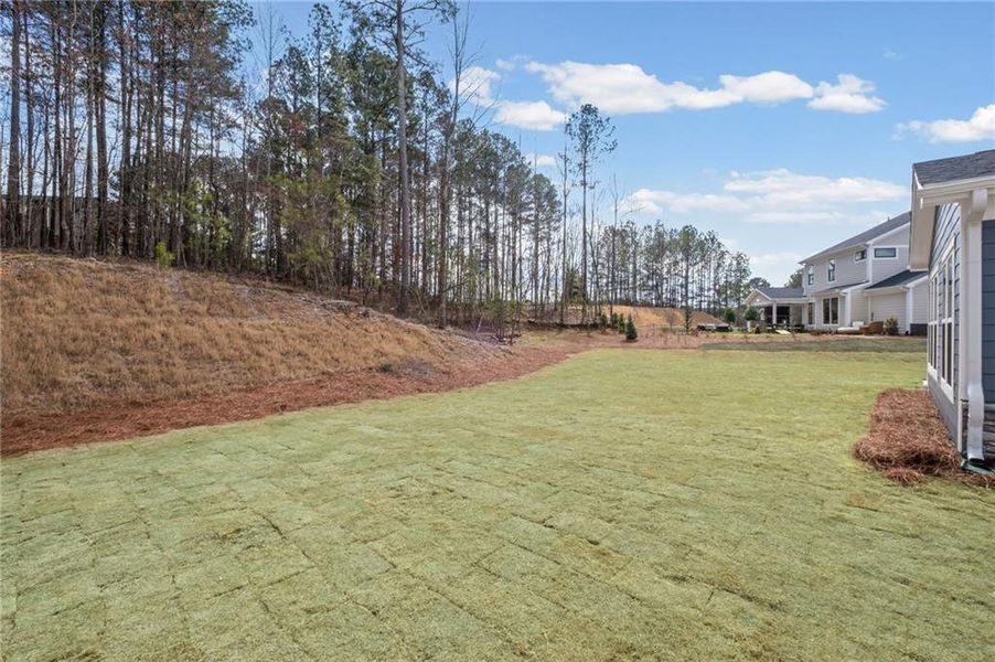 Exterior details and patio area of a home in Governor’s Preserve, Canton (Image 3).