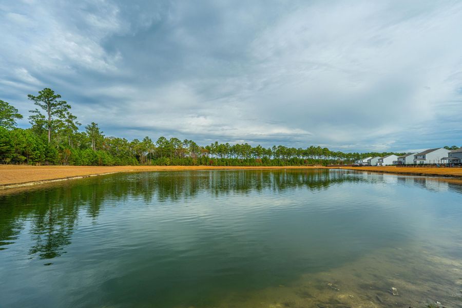 Natural landscape and outdoor views near Sea Island Preserve in Johns Island (Image 91).