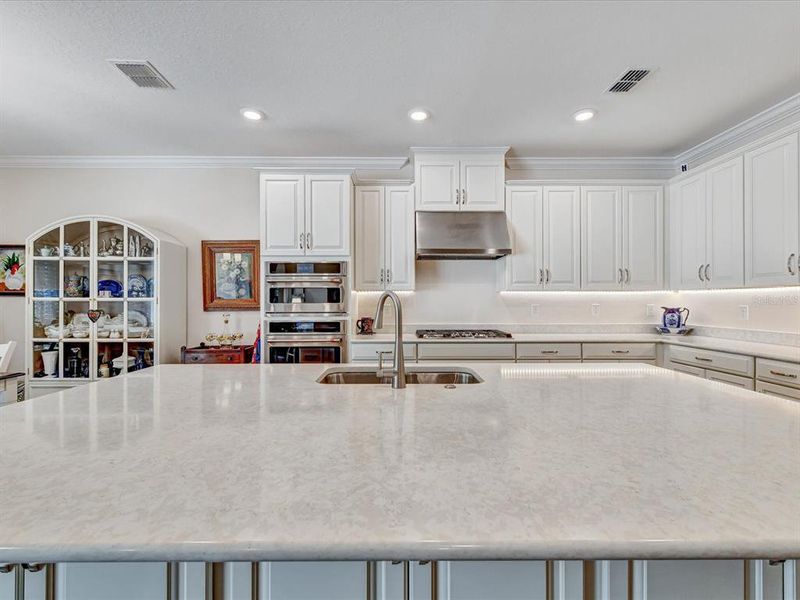 Furnished interior view inside a new home in , Wesley Chapel (Image 40).