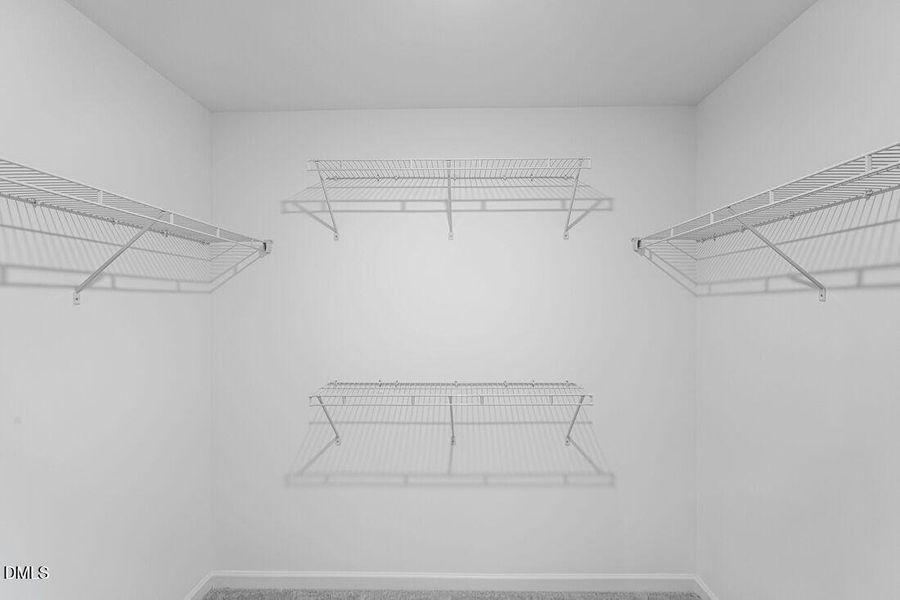 hj-nc-raleigh-eagle-trace-stella-lot-108